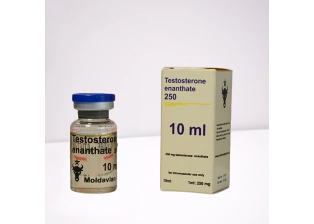 Foto 1 - Testosteron Enantat 250 mg Moldavian Pharma