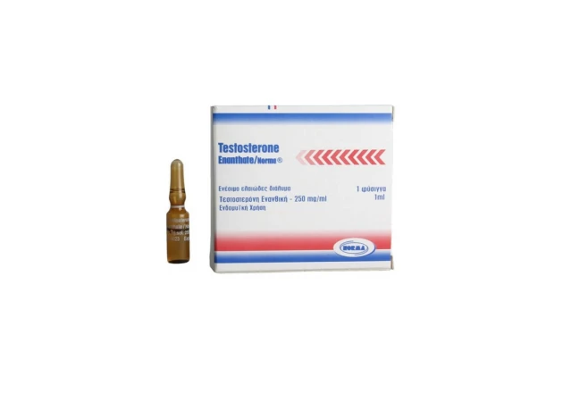 Foto 1 - Testosterone Enanthate 250 mg Norma Hellas