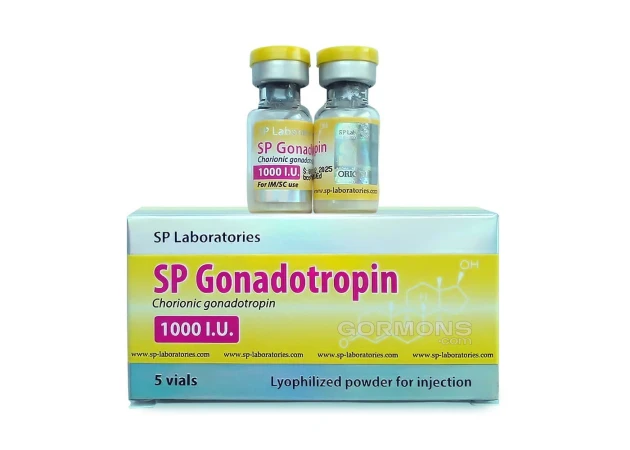Foto 1 - SP Gonadotropin 1000 IU SP Laboratories