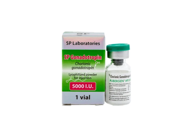 Foto 1 - SP Gonadotropin 5000 IU SP Laboratories