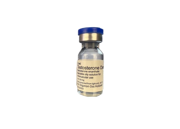 Foto 1 - Testosteron Depo 250 mg Organon