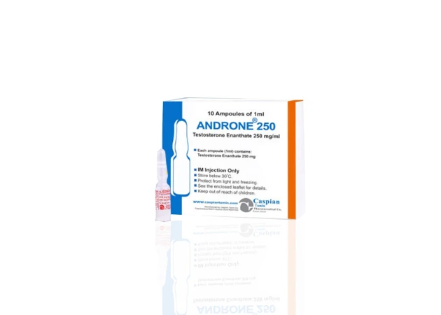 Foto 1 - Androne 250 mg Caspian